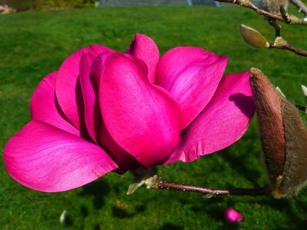 Villa Acacia Heights Gardens à Lac Lac Taupo Extérieur photo